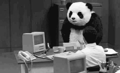 upset-panda-is-getting-really-tired-of-your-Good.gif