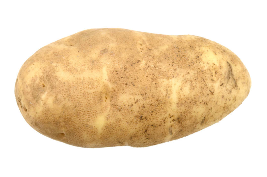 11-idaho-potato.w529.h352.2x.jpg
