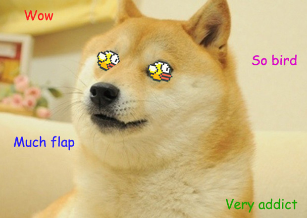 8_FlappyBird_Doge.jpg