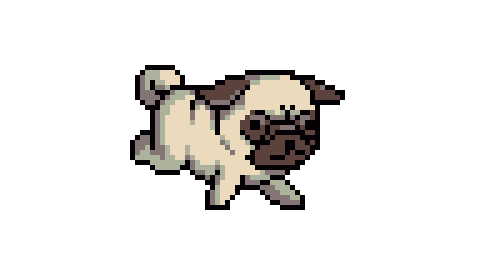 a pug.gif