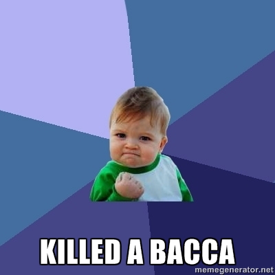 bacca.jpg