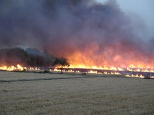 burning_wheat_stubble.jpg