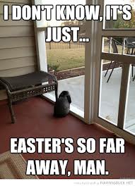 easter pic far away.jpg