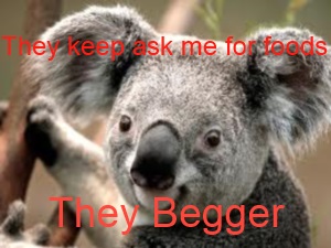 images.jpg