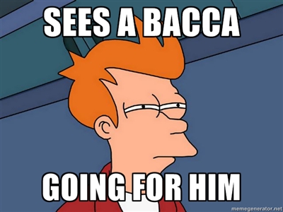 meme MCSG 5.jpg