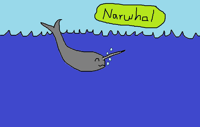 Narwhal.png