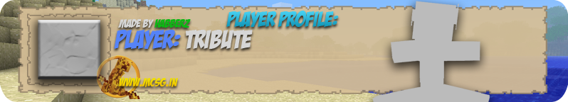 Player Profile Template.png