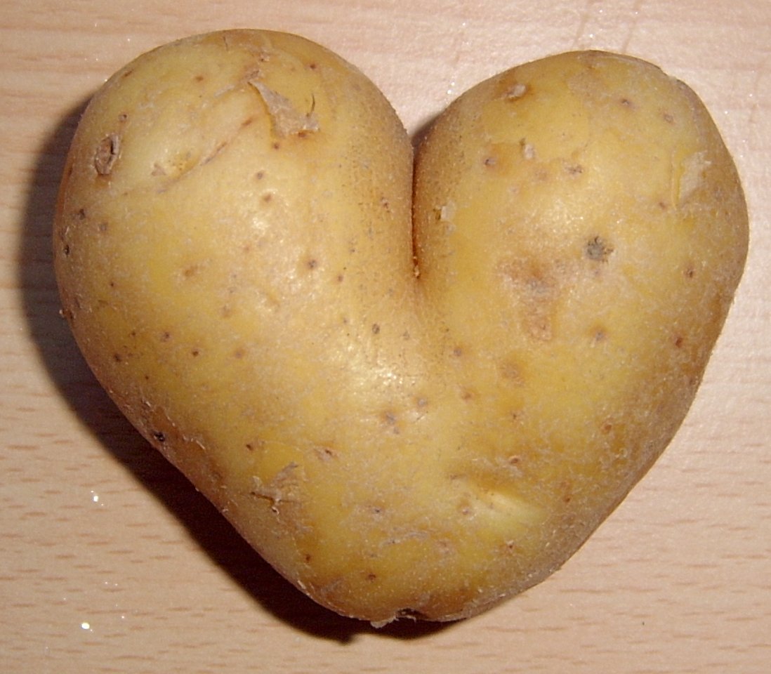 Potato[1].jpg