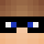 ShadowWollfy.png