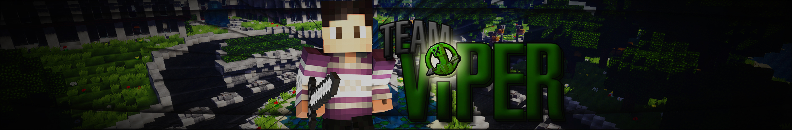 Team Viper Banner.jpg