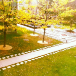 Autumn.png
