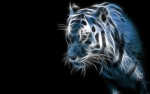 upload_2013-9-16_17-14-3.png