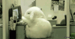 tumblr_mao7i2OWtl1rc2qizo1_500.gif