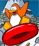 abigu-club_penguin.jpg