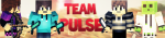 teambannerpgn.png