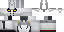 Skin.png