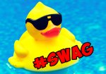 swag duck.jpg