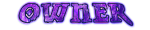 Owner.png
