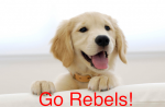 Cute Puppy.png