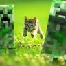 furretfan137