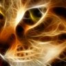 elGat0_MiaU