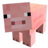 coolhaza