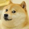 DogeTheDog