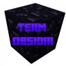 TeamObsidia