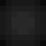 Vizo