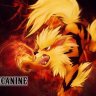 CP_Theslayer988