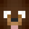 ZachPlayzMC