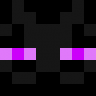 EnderPlayzSG
