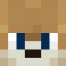 VILLERPvP228