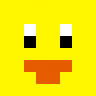 coolduck22