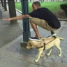 SkillsAtPvP