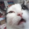 UrosSesatelj