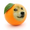 Synnek