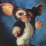 nolenole