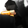 Synepitc_