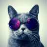 EasyStyle