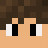 DerpyPlaysMC
