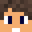 DERP_0313