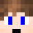 MrBlockyCraft