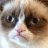 AngryCat
