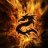 DragonDude73