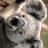 iTheWolfMan_