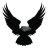 BlackEagles