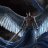 Pereyaslovsky_Dima