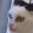Savage1337