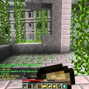 Digicraft Plays - The Minecraft Survival games Ep.1